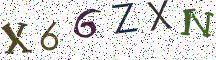 X66ZXN