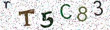 rT5C83