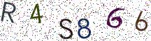 R4S866