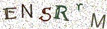 ENSRrM