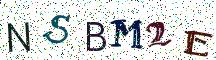 NSBM2E