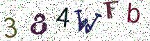 384WFb