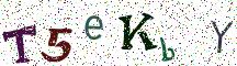 T5eKbY