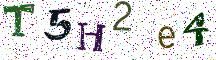 T5H2e4