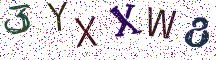 3YXXW8