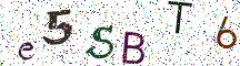 e5SBT6