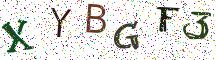 XYBGF3