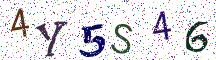 4Y5S46