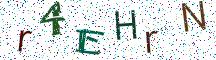 r4EHrN