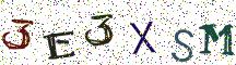 3E3XSM