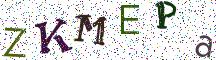 ZKMEPa