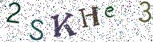 2SKHe3