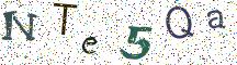 NTe5Qa