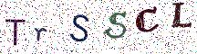 TrSSCL