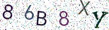86B8XY