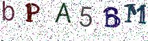 bPA5BM
