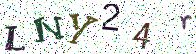 LNY24r