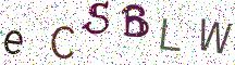 eCSBLW