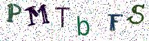 PMTbFS