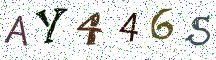AY446S