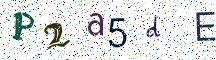 P2a5dE