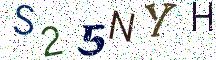 S25NYH