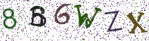 8B6WZX