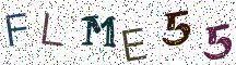 FLME55