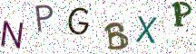 NPGBXP