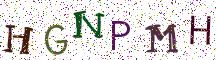 HGNPMH