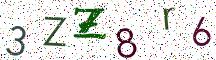 3ZZ8r6