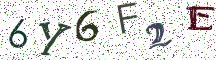 6Y6F2E