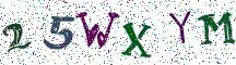 25WXYM