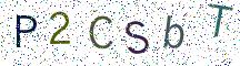 P2CSbT