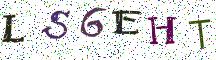 LS6EHT
