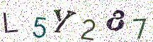 L5Y287