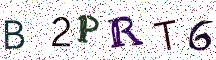 B2PRT6