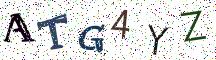 ATG4YZ