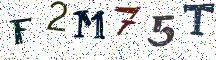 F2M75T