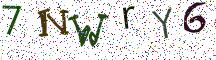 7NWrY6
