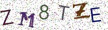 ZM8TZE