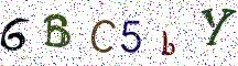 6BC5bY