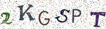 2KGSPT