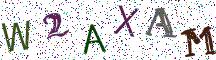 W2AXAM