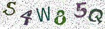 S4W85Q