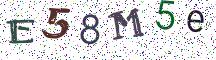 E58M5e