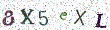 8X5eXL