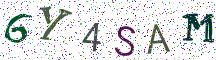 6Y4SAM