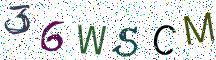 36WSCM