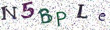 N5BPLe
